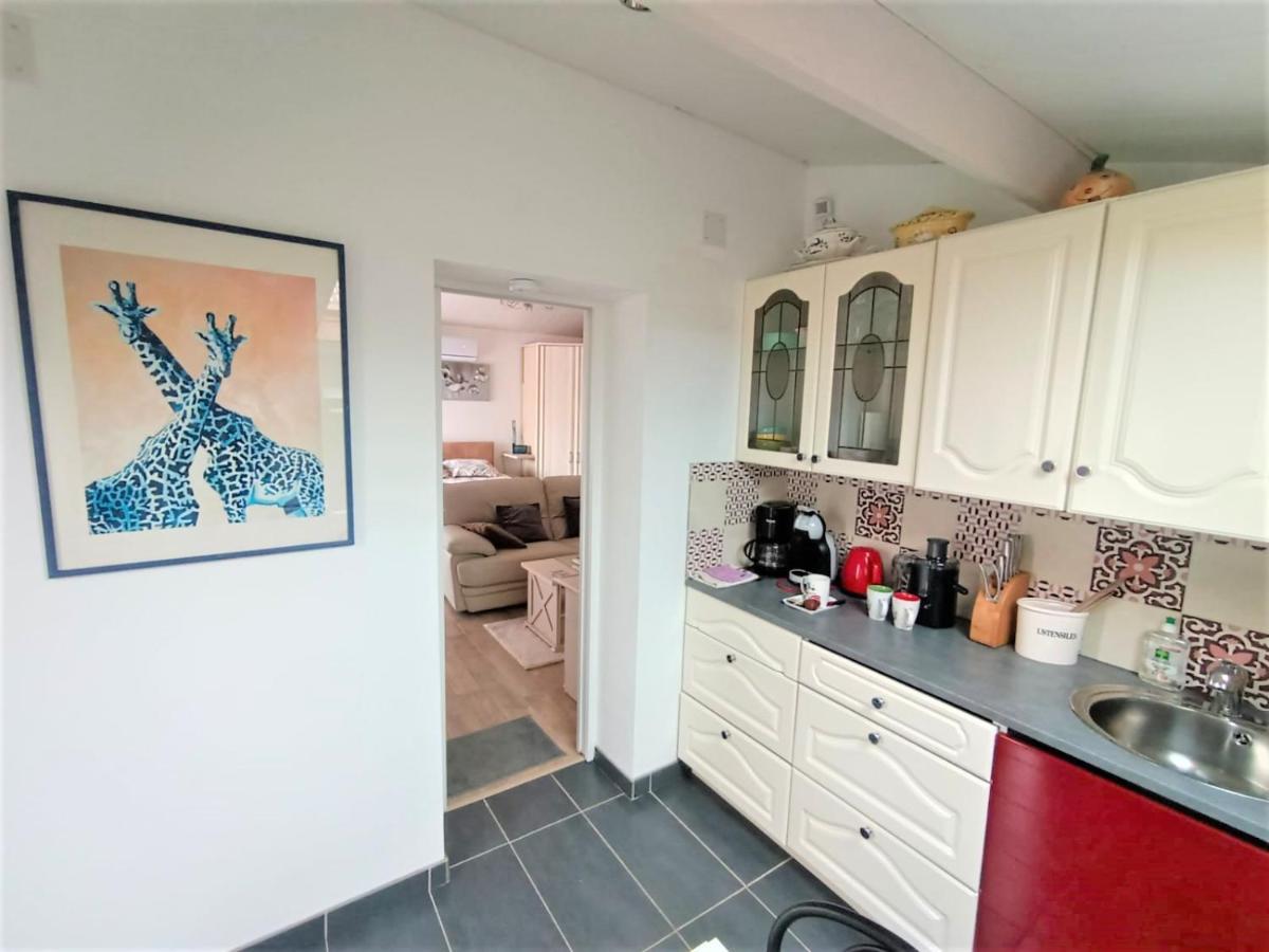 Studio Mer&Aa-terrasse-jardin-WIFI-parking Grand-Fort-Philippe Exterior foto